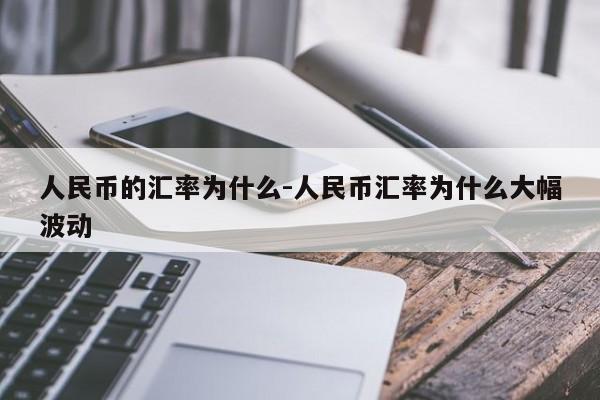人民币的汇率为什么-人民币汇率为什么大幅波动