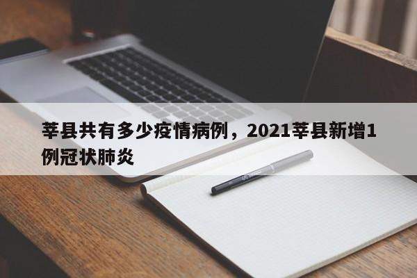莘县共有多少疫情病例,2021莘县新增1例冠状肺炎